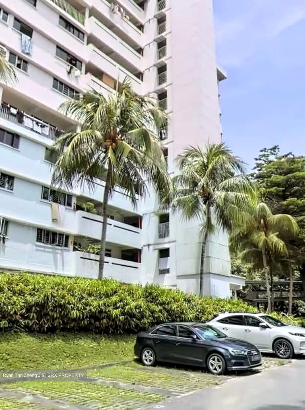 Blk 31 Telok Blangah Rise (Bukit Merah), HDB 3 Rooms #573378951